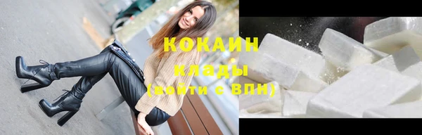 шишки Баксан