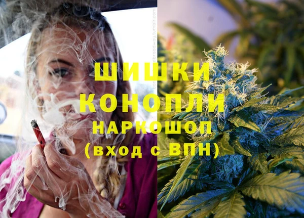 эйфоретик Белокуриха