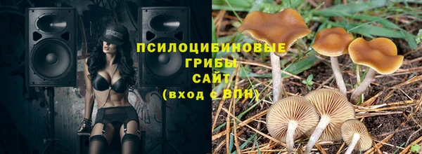 эйфоретик Белокуриха