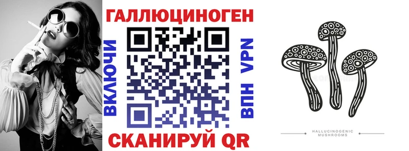 где продают наркотики  Куртамыш  Псилоцибиновые грибы Cubensis 